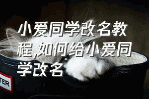 小爱同学改名教程（如何给小爱同学改名）