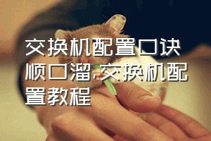 交换机配置口诀顺口溜（交换机配置教程）