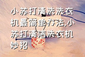 小苏打清洗洗衣机最简单办法（小苏打清洁洗衣机妙招）