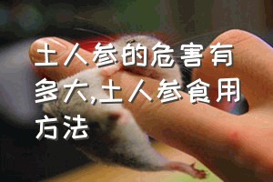 土人参的危害有多大（土人参食用方法）