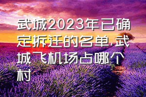 武城2023年已确定拆迁的名单（武城飞机场占哪个村）