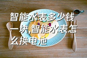 智能水表多少钱一块（智能水表怎么换电池）