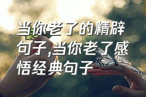 当你老了的精辟句子（当你老了感悟经典句子）