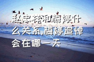 赵忠祥和梅婷什么关系（梅婷追悼会在哪一天）