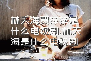 林天海贾萍萍是什么电视剧（林天海是什么电视剧）