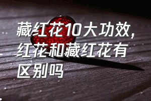 藏红花10大功效（红花和藏红花有区别吗）