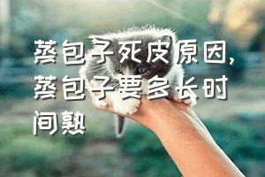 蒸包子死皮原因（蒸包子要多长时间熟）