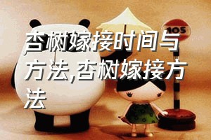 杏树嫁接时间与方法（杏树嫁接方法）