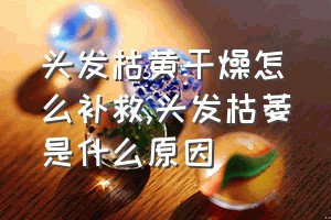 头发枯黄干燥怎么补救（头发枯萎是什么原因）