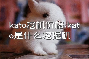 kato挖机价格（kato是什么挖掘机）