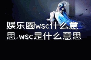 娱乐圈wsc什么意思（wsc是什么意思）