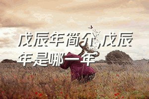 戊辰年简介（戊辰年是哪一年）