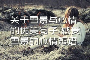 关于雪景与心情的优美句子（感受雪景的心情短语）