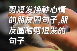 剪短发换种心情的朋友圈句子（朋友圈晒剪短发的句子）