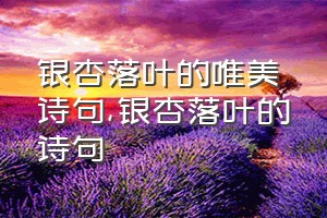 银杏落叶的唯美诗句（银杏落叶的诗句）