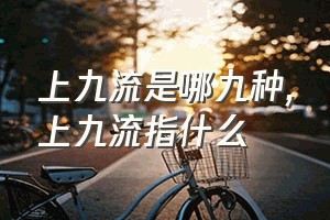 上九流是哪九种（上九流指什么）