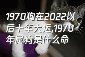 1970狗在2022以后十年大运（1970年属狗是什么命）