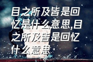 目之所及皆是回忆是什么意思（目之所及皆是回忆什么意思）