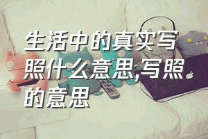 生活中的真实写照什么意思（写照的意思）