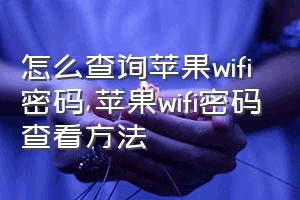 怎么查询苹果wifi密码（苹果wifi密码查看方法）