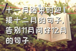 十一月结束时迎接十二月的句子（告别11月问好12月的句子）