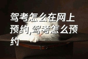 驾考怎么在网上预约（驾考怎么预约）