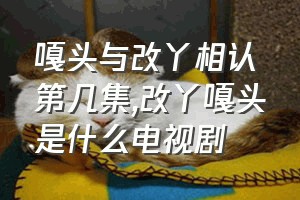 嘎头与改丫相认第几集（改丫嘎头是什么电视剧）