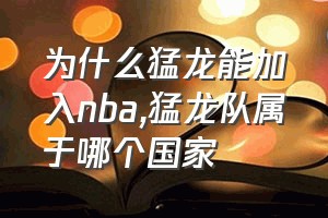 为什么猛龙能加入nba（猛龙队属于哪个国家）