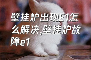 壁挂炉出现E1怎么解决（壁挂炉故障e1）