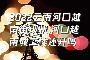 2022云南河口越南街现状（河口越南城二楼还开吗）