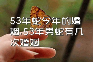 53年蛇今年的婚姻（53年男蛇有几次婚姻）