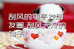 刮风的句子发朋友圈（刮风天冷的句子）