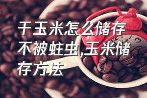 干玉米怎么储存不被蛀虫（玉米储存方法）