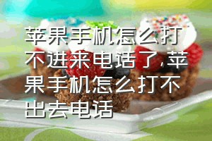 苹果手机怎么打不进来电话了（苹果手机怎么打不出去电话）