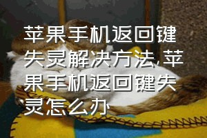 苹果手机返回键失灵解决方法（苹果手机返回键失灵怎么办）