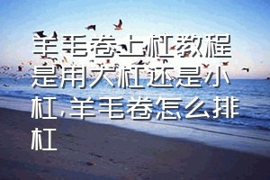 羊毛卷上杠教程是用大杠还是小杠（羊毛卷怎么排杠）