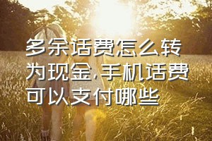 多余话费怎么转为现金（手机话费可以支付哪些）