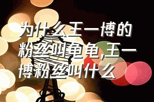 为什么王一博的粉丝叫龟龟（王一博粉丝叫什么）