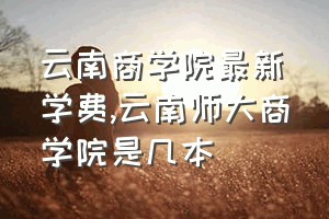 云南商学院最新学费（云南师大商学院是几本）