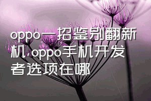 oppo一招鉴别翻新机（oppo手机开发者选项在哪）