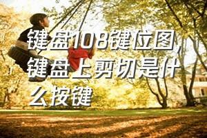 键盘108键位图（键盘上剪切是什么按键）