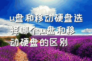 u盘和移动硬盘选择哪个（u盘和移动硬盘的区别）