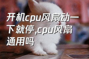 开机cpu风扇动一下就停（cpu风扇通用吗）