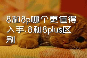 8和8p哪个更值得入手（8和8plus区别）