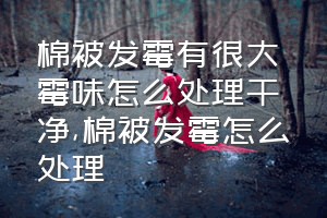 棉被发霉有很大霉味怎么处理干净（棉被发霉怎么处理）