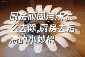 厨房顽固污渍怎么去除（厨房去污渍的小妙招）