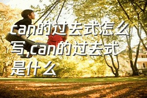 can的过去式怎么写（can的过去式是什么）