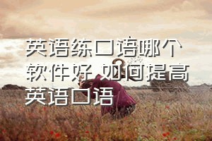 英语练口语哪个软件好（如何提高英语口语）