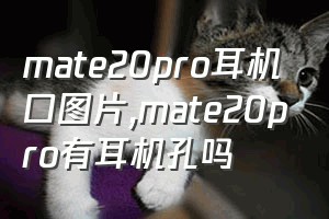 mate20pro耳机口图片（mate20pro有耳机孔吗）