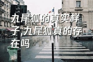 九尾狐的真实样子（九尾狐真的存在吗）